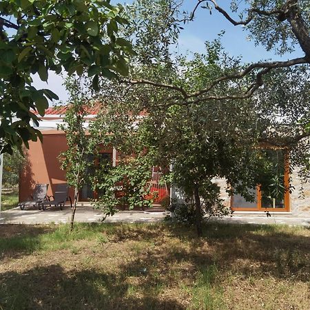 Elea Stone Houses In Organic Quiet Olive Grove, Prinos, Thassos Room photo